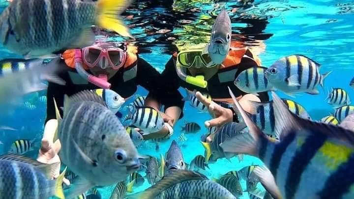 Nusa Penida Snorkeling Tour